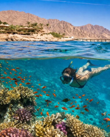 Ce recomandă Viva Holidays pentru snorkeling în Sharm el-Sheikh vs. Hurghada?